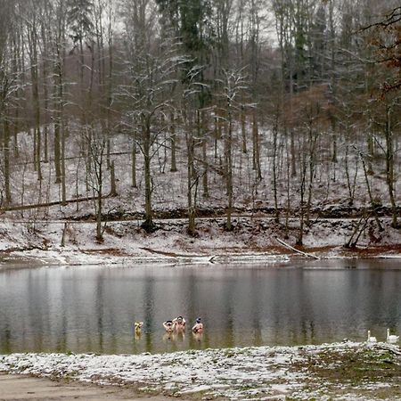 Bosko Domki Z Sauna I Balia W Sulminie Obok Gdanska Extérieur photo